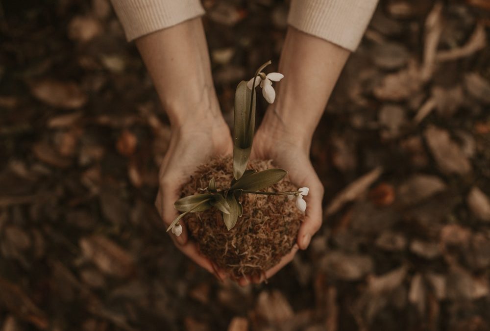 A Fertile Time for Fresh Starts