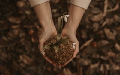 A Fertile Time for Fresh Starts