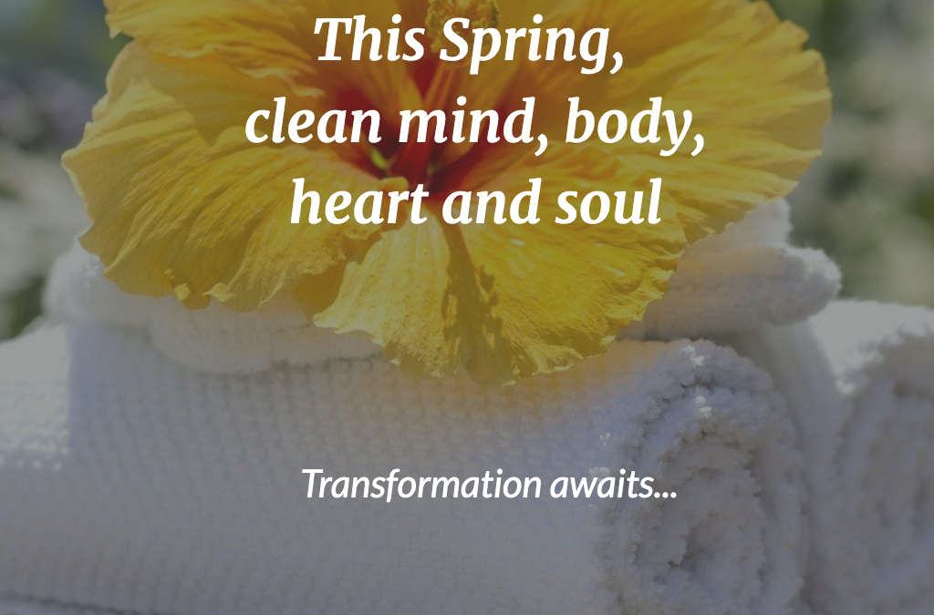 Spring Cleansing for the Soul (a 5-week transformational challenge)