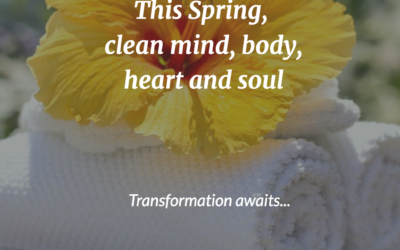 Spring Cleansing for the Soul (a 5-week transformational challenge)